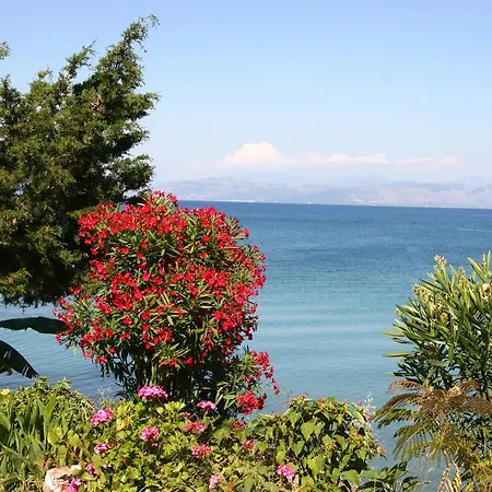 Elena 4* Agios Nikolaos (Corfu)